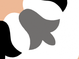 K2015-45